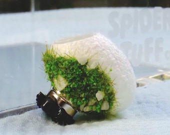 Decorated Silk Cocoon Jumping Spider Hide - Multiple Styles