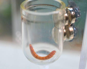 Flyktsäker matskål i glas för hoppande spindlar - Magnetisk!