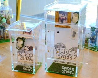 Jumping Spider Starter Home Kit: Acrylic Enclosure with Magnetic Decor