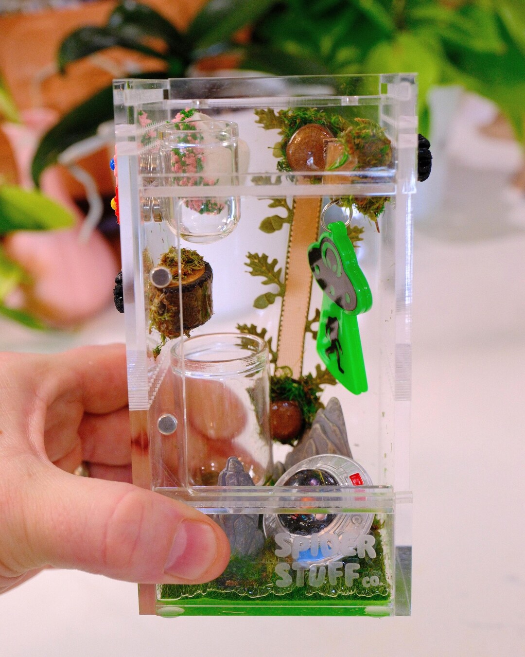 Crashed UFO Jumping Spider Enclosure – UFO UAP Aliens Woodsy Themed ...
