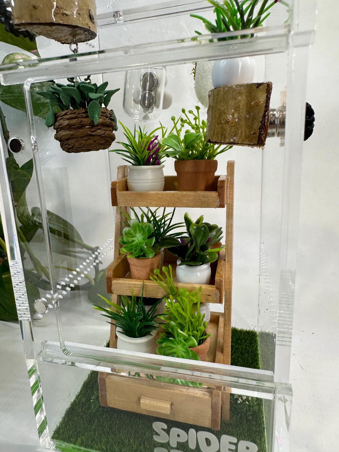 ORIGINAL Modular Spider Enclosure 4 X 4 X 8, Jumping Spider Home ...