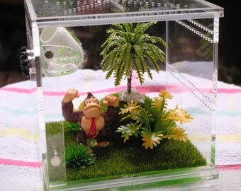 Colina Donkey Kong - Casa decorada para arañas saltarinas - 4x4x4"