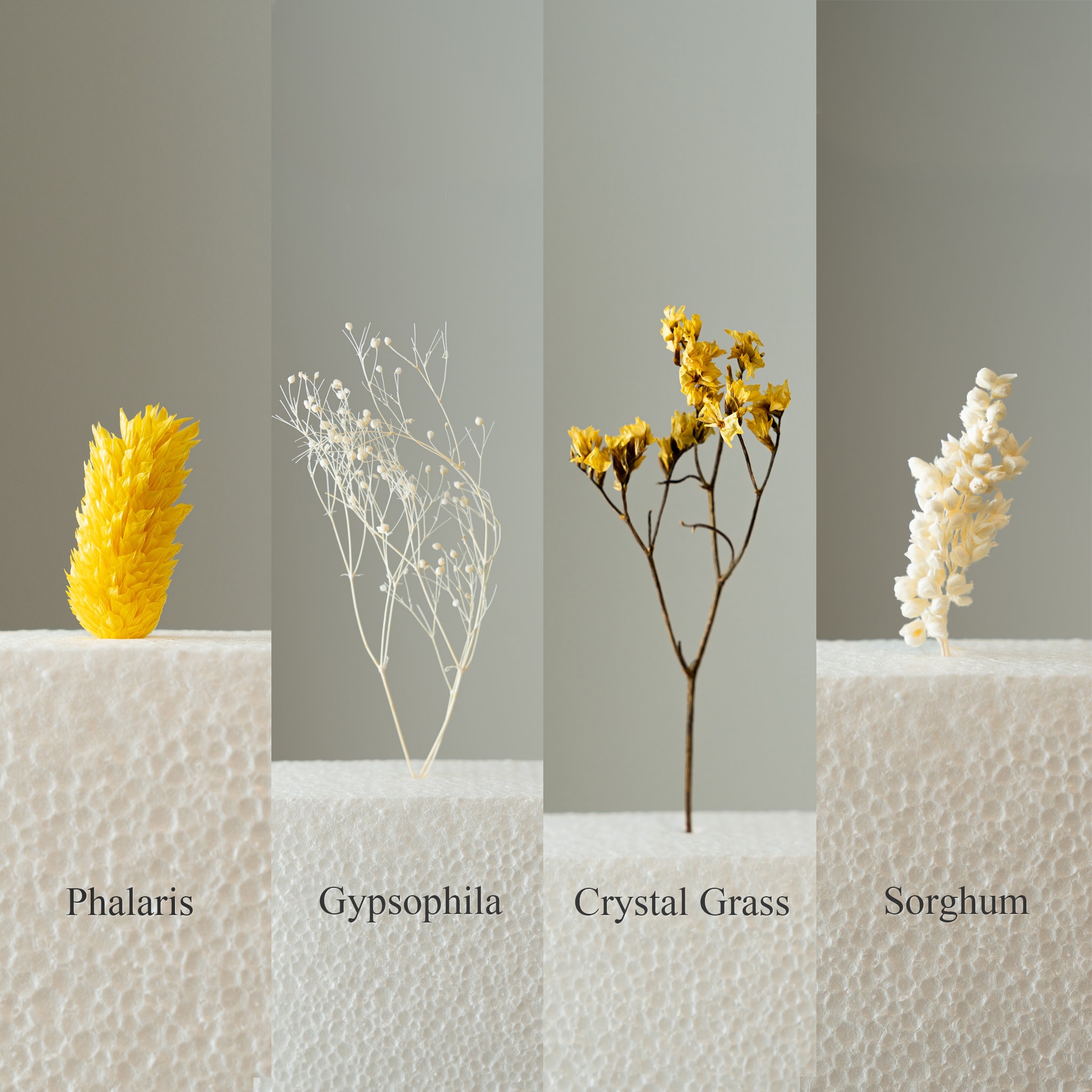 Resin Pressed Botanical Dried Flower Photo Frame - Perfect Gift for HER | Housewarming Gift | Wedding Gift | Bridesmaids Gift | 4x6 5x7