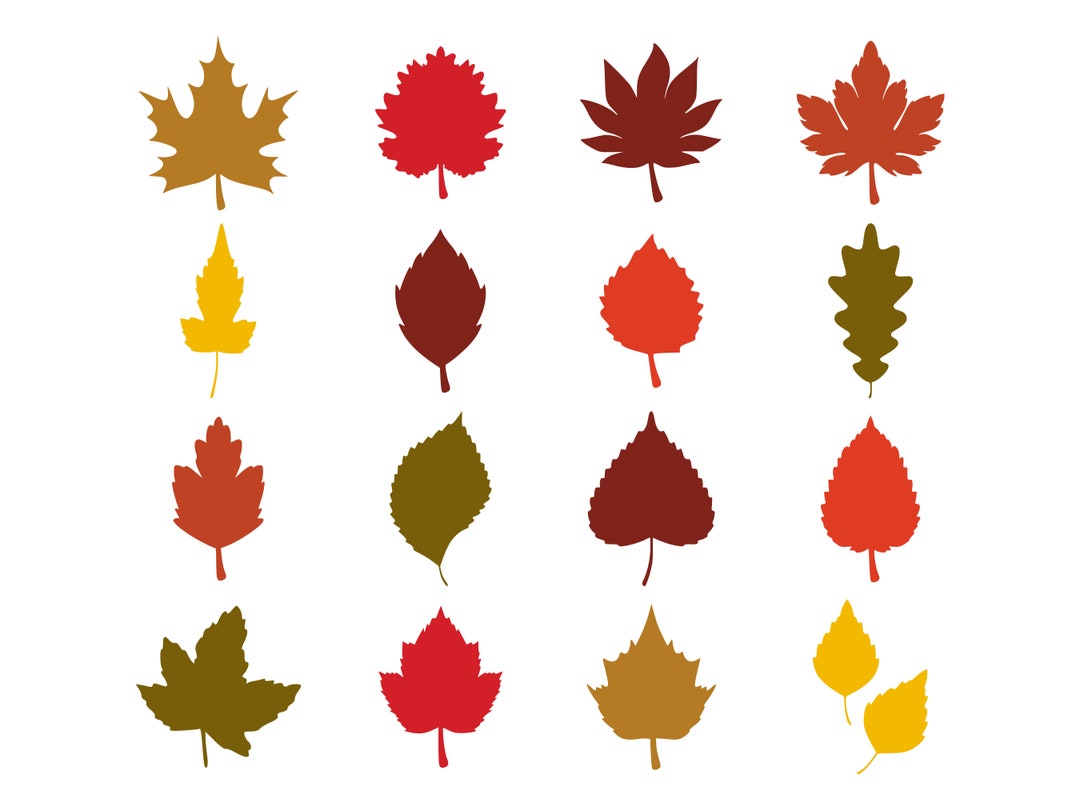 Fall Leaves Svg, Fall Svg, Fall Leaf Svg Bundle, Fall Png, Dxf, Clipart