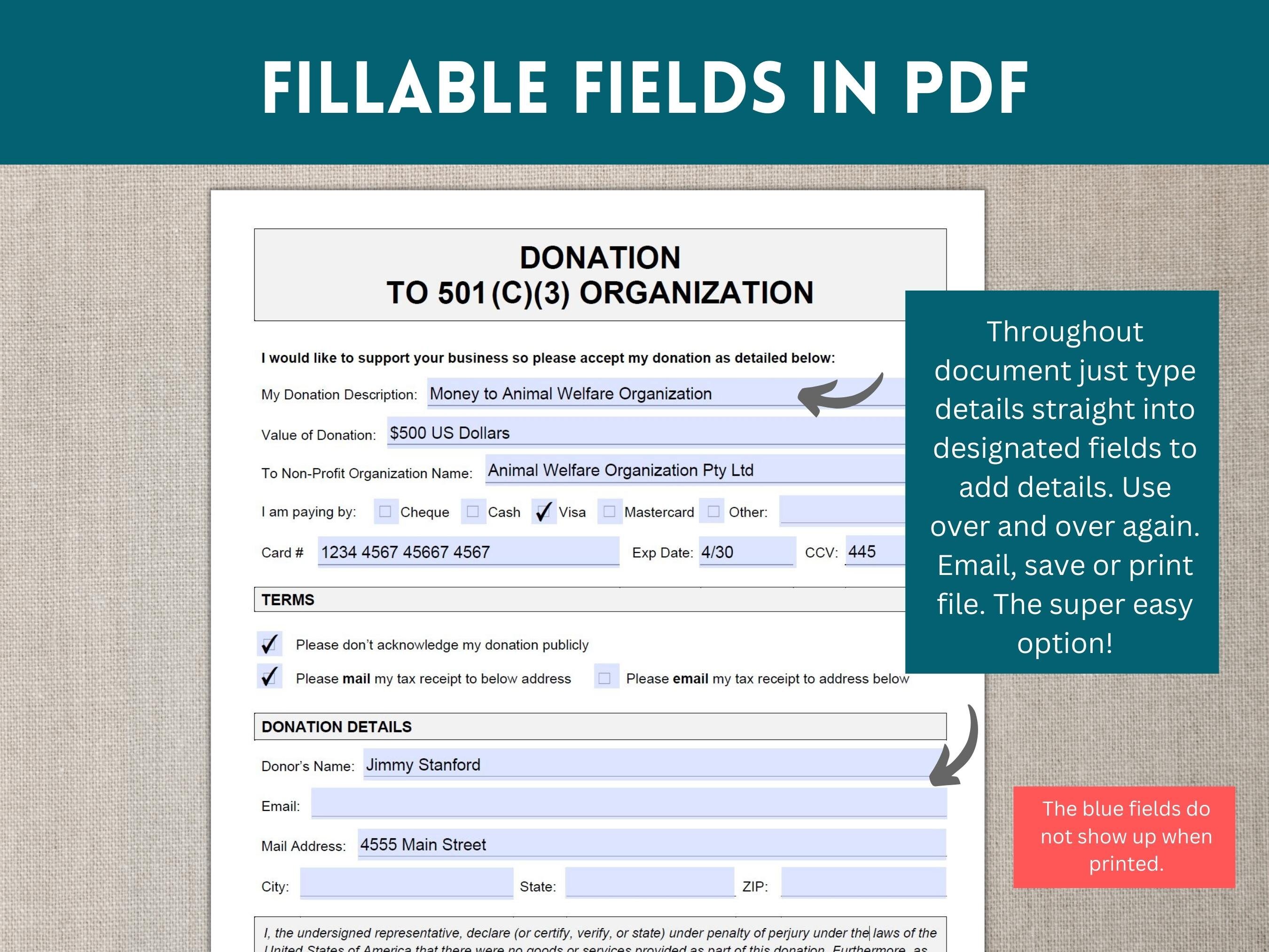 Donation to 501c3 Organization, 501c3 Donation Template, 501 Donation Form, Nonprofit Donation