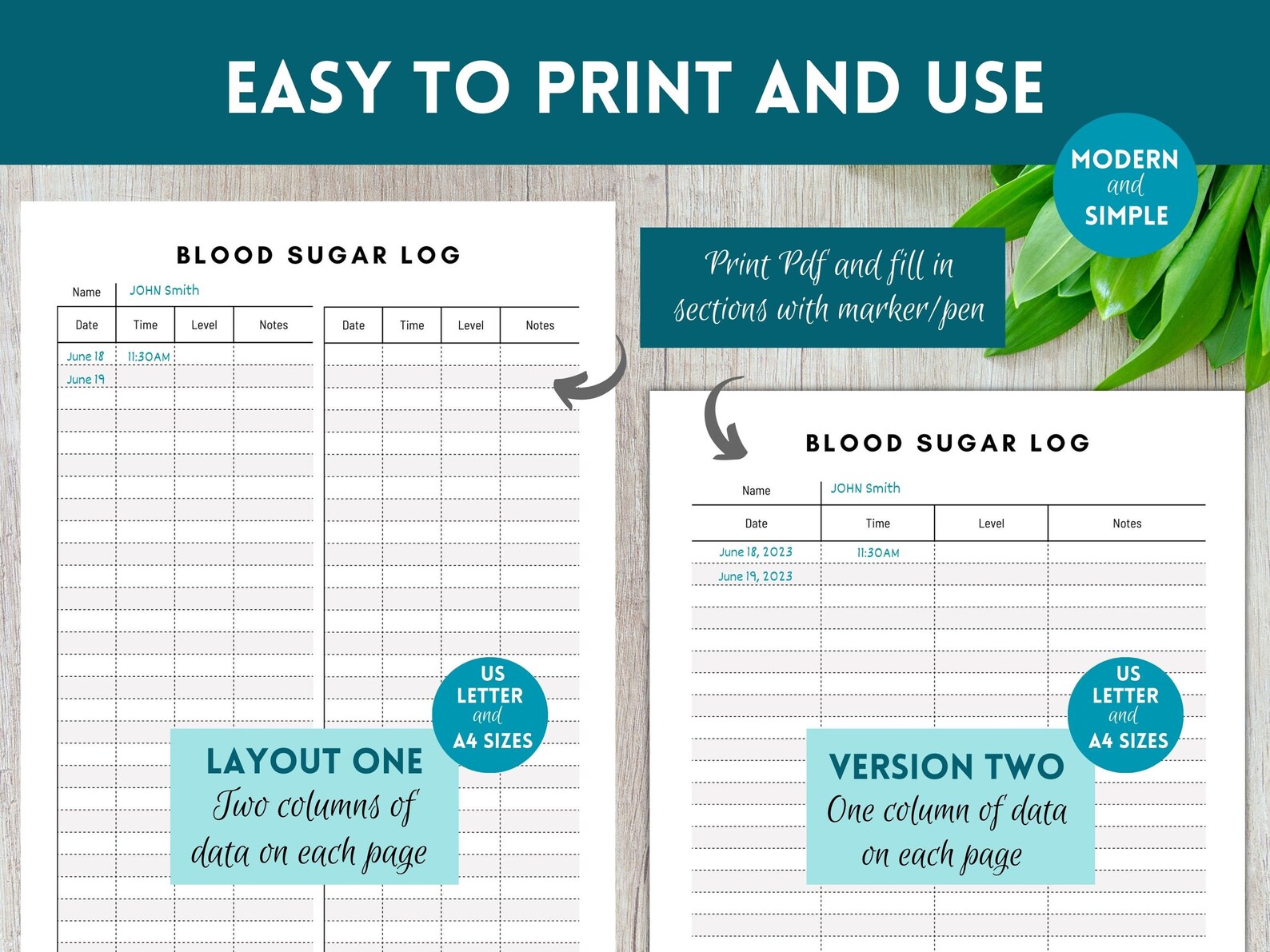 Blood Sugar Log Printable, Blood Sugar Tracker Editable Printable ...