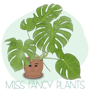 Miss Fancy Plants PNG Download, Plant Lady, Plant Lover, Monstera Plant, Procreate, Photoshop, CanvaPro, Goodnotes