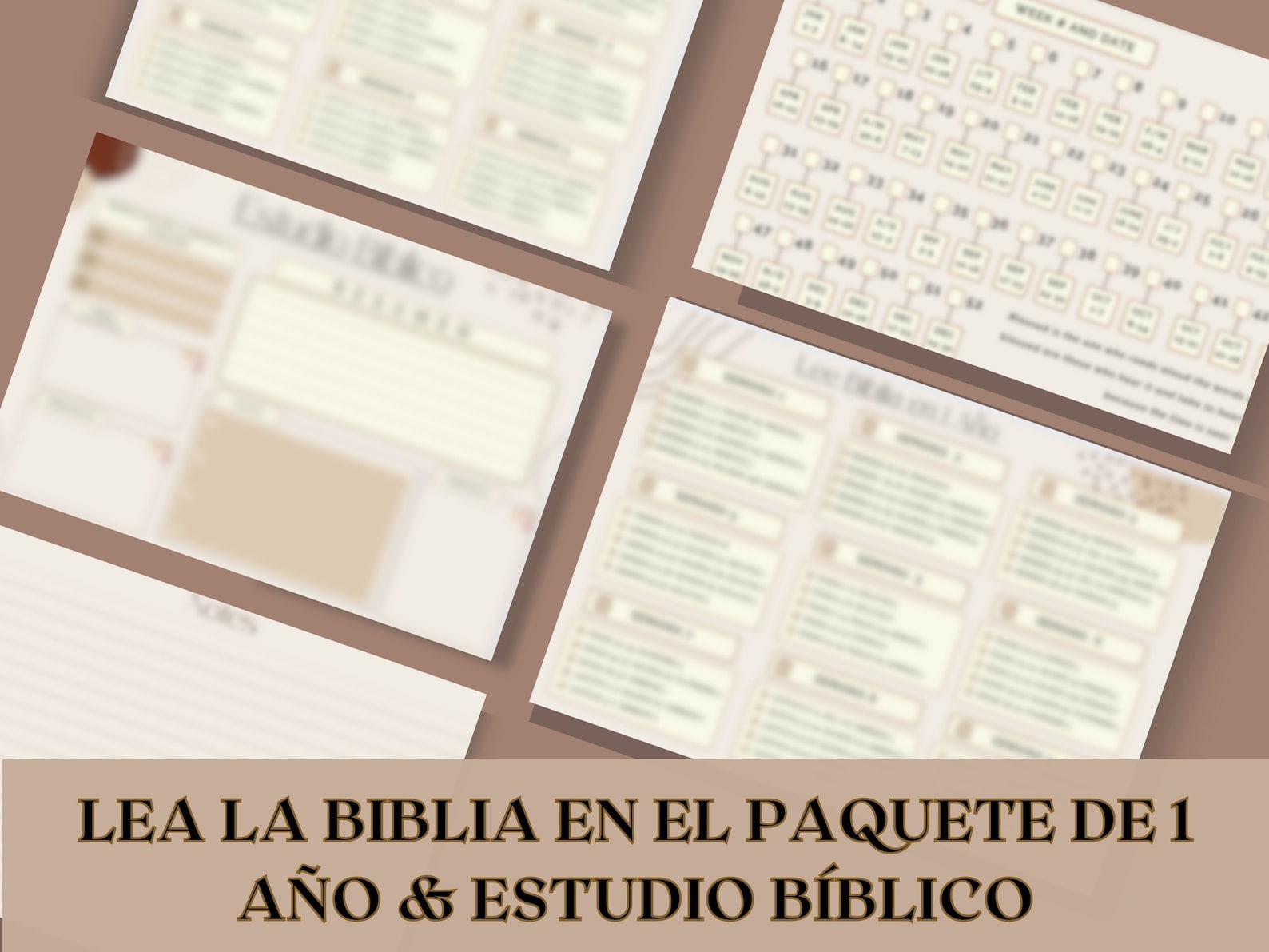 Lea La Biblia En 1 Año - Plan De Lectura De La Biblia- Planificador ...