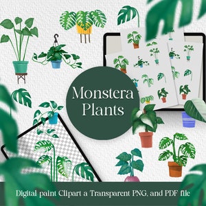 May include: Digital clipart of Monstera plants in various poses and sizes. The plants are illustrated in a watercolor style with green leaves and brown pots. The text "Monstera Plants" is displayed in a green circle.