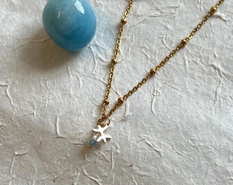 Pisces Zodiac Necklace: 18k Gold Plated Stainless Steel, Aquamarine, Crystal