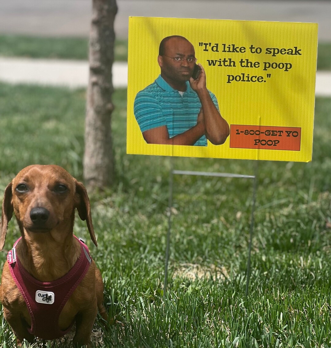 Dog Poop Shame Sign No Dog Poop Pick up Your Poop Clean up Etsy
