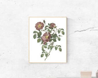 Botanical Flower Art Print, Floral Wall Decor (Digital Download)