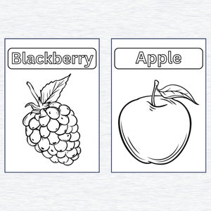 May include: Black and white line drawing of a blackberry and an apple. The words "Blackberry" and "Apple" are written above each fruit.