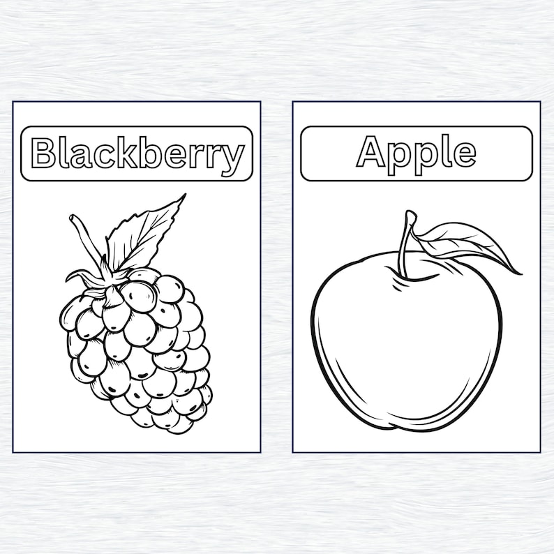 May include: Black and white line drawing of a blackberry and an apple. The words "Blackberry" and "Apple" are written above each fruit.