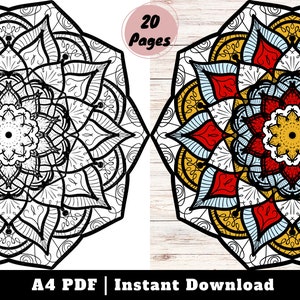 Symmetry Mandala Coloring Pages, Stress Relief Mandala Coloring Book Instant Download, Symmetry-Shaped Coloring Pages for Mindful Creativity