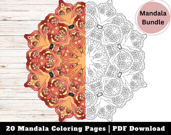 Bundel mandala kleurplaten, bloemsymmetrieontwerpen (digitale download)