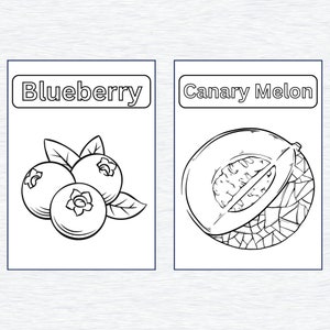 May include: A black and white line drawing of a blueberry and a canary melon. The blueberry is a cluster of three berries with leaves. The canary melon is a half-cut melon with a seed inside. The words "Blueberry" and "Canary Melon" are written above each fruit.
