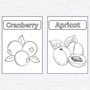 May include: A black and white line drawing of a cranberry and an apricot. The cranberry is a cluster of three berries with leaves. The apricot is a whole fruit and a half of a fruit with a pit.