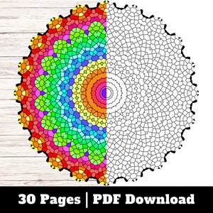 Mandala Coloring Pages For Adults, Flower and Symmetry Shaped Mandala Coloring Book For Fun And Relaxing, Instant Download Stress Relief