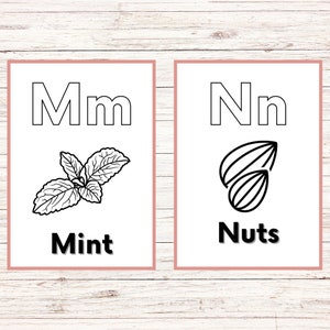 May include: Black and white alphabet flashcards with illustrations. The letter M is for mint and shows a sprig of mint leaves. The letter N is for nuts and shows two nuts.