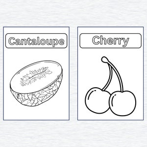 May include: A black and white line drawing of a cantaloupe and a cherry. The cantaloupe is cut in half and the cherry has a stem and two cherries.
