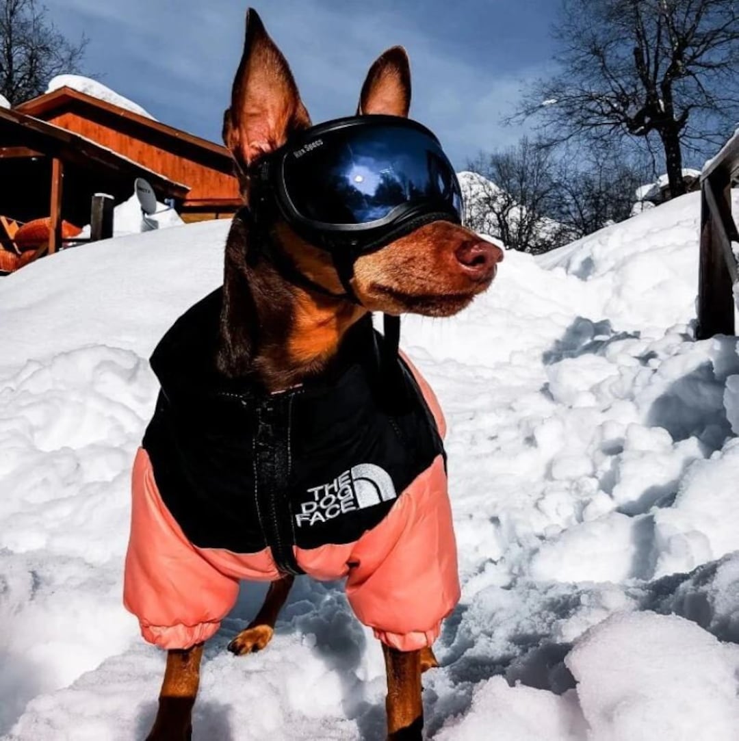 Pawsome Outerwear the Dog Face Jacket XS3XL Etsy