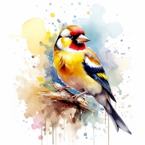 Goldfinch 15 Images Set, Garden Small Birds, Downloadable Digital Images, AI art