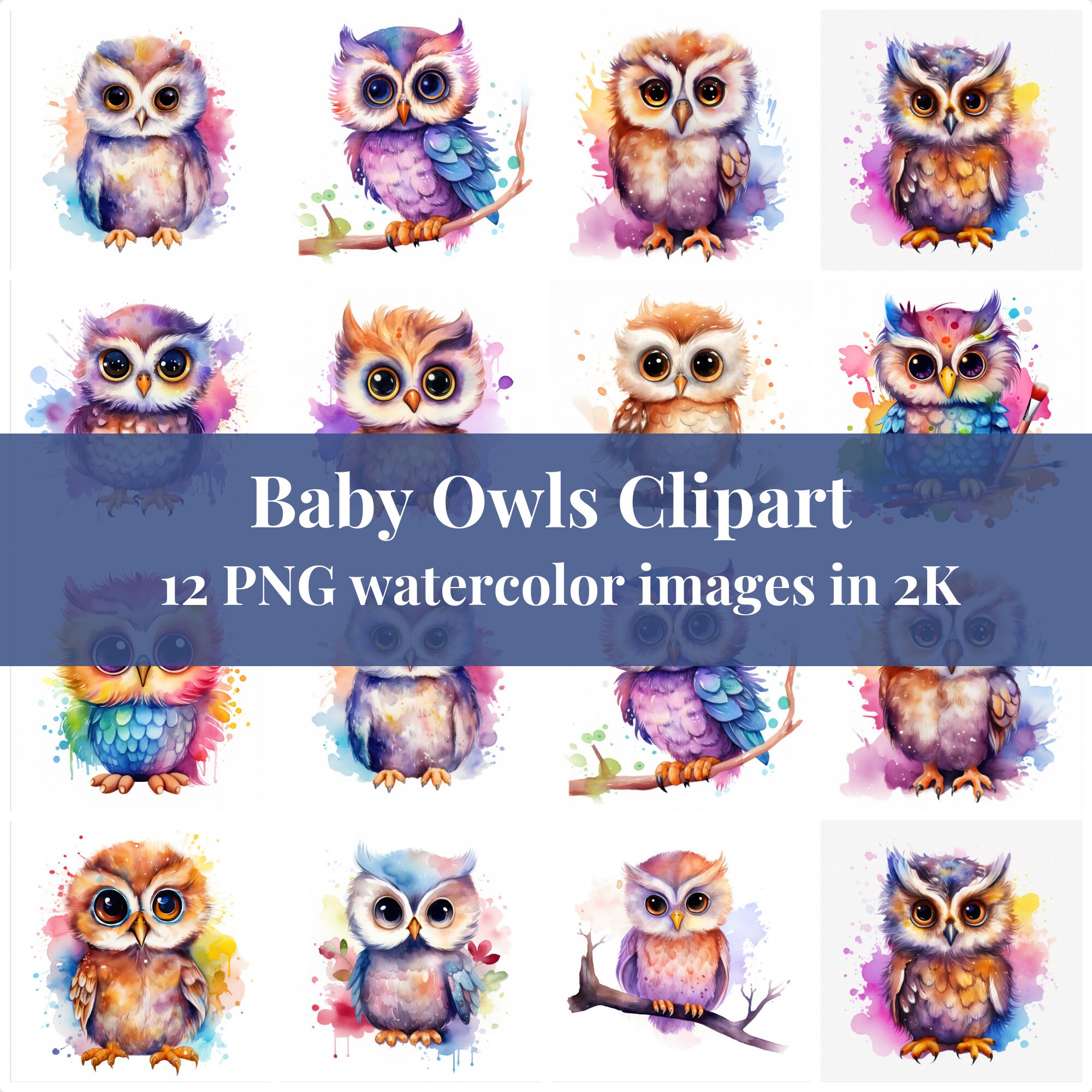Owl Clipart 12 PNG Images in Watercolor High Quality - Etsy