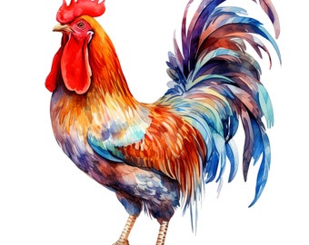 Rooster Clipart, 15 Digital Images in PNG format for illustrations with transparent background, commercial use, watercolor