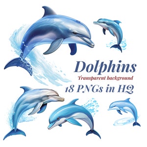 Clipart dauphins, 18 images numériques au format PNG pour des illustrations avec un fond transparent, usage commercial