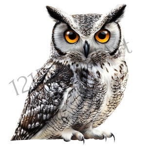 Owls Clipart, Set of 16 PNG Digital Images in High Quality, Ready to Print, Transparent Background, Downloadable Images