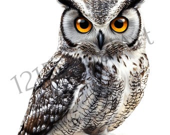 Owls Clipart, Set of 16 PNG Digital Images in High Quality, Ready to Print, Transparent Background, Downloadable Images