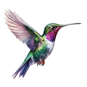 Kolibri-Set mit 9 PNG-Digitalbildern in hoher Qualität, fertig zum Drucken, Wandkunstdekor, herunterladbare Bilder