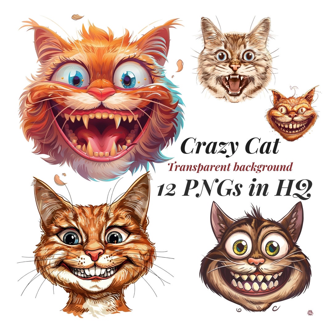 Crazy Cat Clipart, 12 PNG Images With Transparent Background