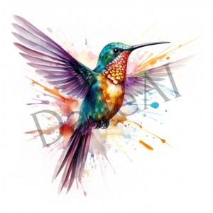 Hummingbird Set of 9 PNG Images, High Quality Images with fully Transparent Background, Wall Art Digital Download