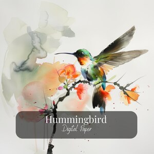 Hummingbird Set of 12 JPG Digital Images in High Quality, Ready to Print, Wall Art Decor, Downloadable Images