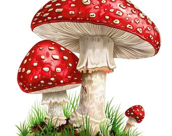 Beautiful Mushrooms Clipart, 16 Digital Images in PNG format with transparent background, commercial use