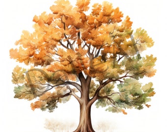 Watercolor Oak Tree Clipart, Set of 23 PNG Images in High Quality, Ready to Download, full commercial use, Transparent Background