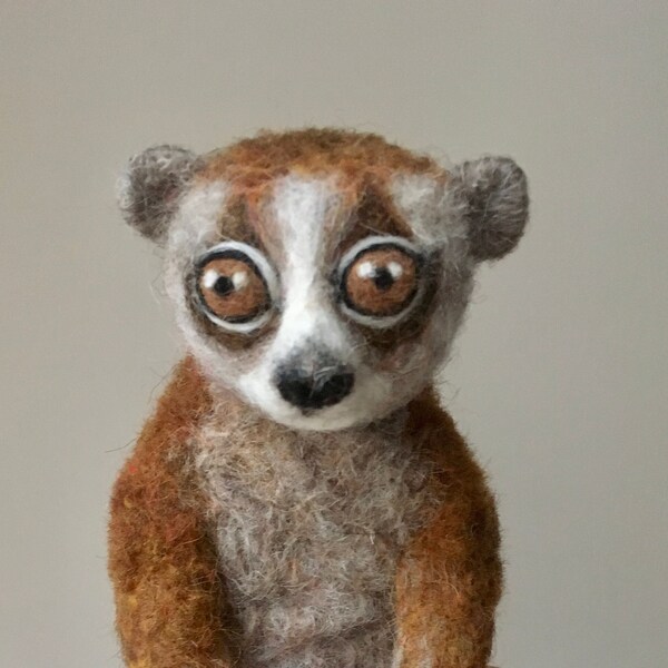 life-size slow loris soft sculpture / realistic animal / poseable faux taxidermy