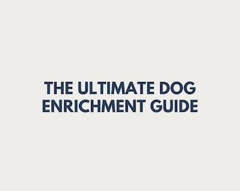 Dog Enrichment Guide | Boredom Busters, Training Tips (Digital Download)