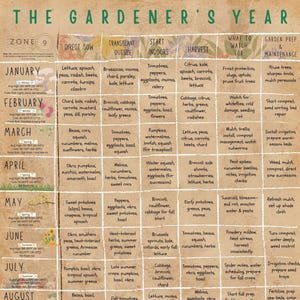 以下が含まれることがあります： さまざまな野菜やハーブの季節ごとの植え付けガイドが掲載されたガーデニングカレンダー。このチャートは月ごとに整理されており、ゾーン、直接播種、移植、収穫に関する情報が含まれています。