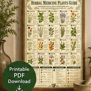 May include: A framed poster titled Herbal Medicine Plants Guide featuring a grid of twenty illustrated medicinal herbs with descriptive text, accompanied by a green circular badge with the white text Printable PDF Download and a downward arrow.