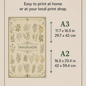 Print size guide for the Zone 9 Planting Guide showing recommended A3 and A2 poster dimensions for home printing or use at a local professional print shop.