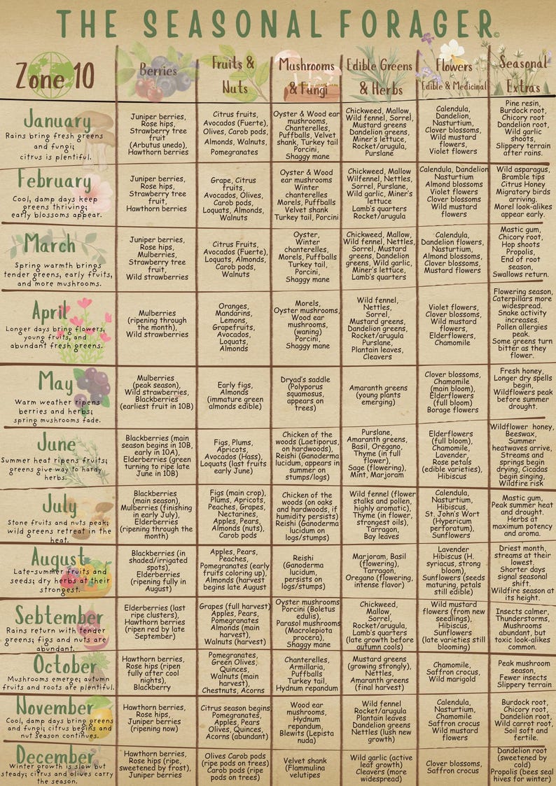 Seasonal Ritual Zones Zone 10 Wild Forager's Guide - Etsy