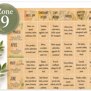 Close-up of the Zone 9 Planting Guide showing the practical monthly planting table with direct sowing, transplanting outside, indoor seed starting, harvesting, what to watch for, and garden prep tasks.