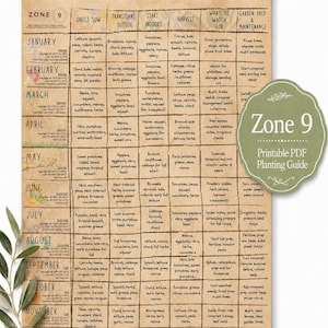Zone 8 Planting Guide PDF | Monthly Garden Calendar Printable - Etsy