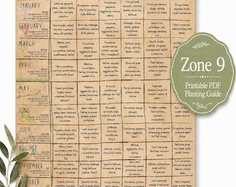 Guia de Plantio para a Zona 9 em PDF | Calendário Mensal da Horta, Germinação de Sementes e Tabela de Colheita