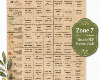Guida alla semina in zona 7 (PDF) / Calendario mensile dell'orto, tabella di semina e raccolta