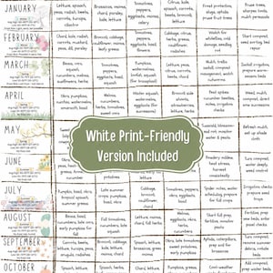White print-friendly Zone 9 Planting Guide showing a clean monthly vegetable planting calendar for direct sowing, transplanting, indoor seed starting, harvesting, pests, frost notes, and garden maintenance.