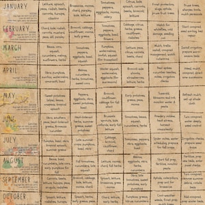 Full beige Zone 9 Planting Guide showing a month-by-month vegetable garden calendar with direct sowing, transplanting outside, indoor seed starting, harvest, what to watch for, and garden prep sections.